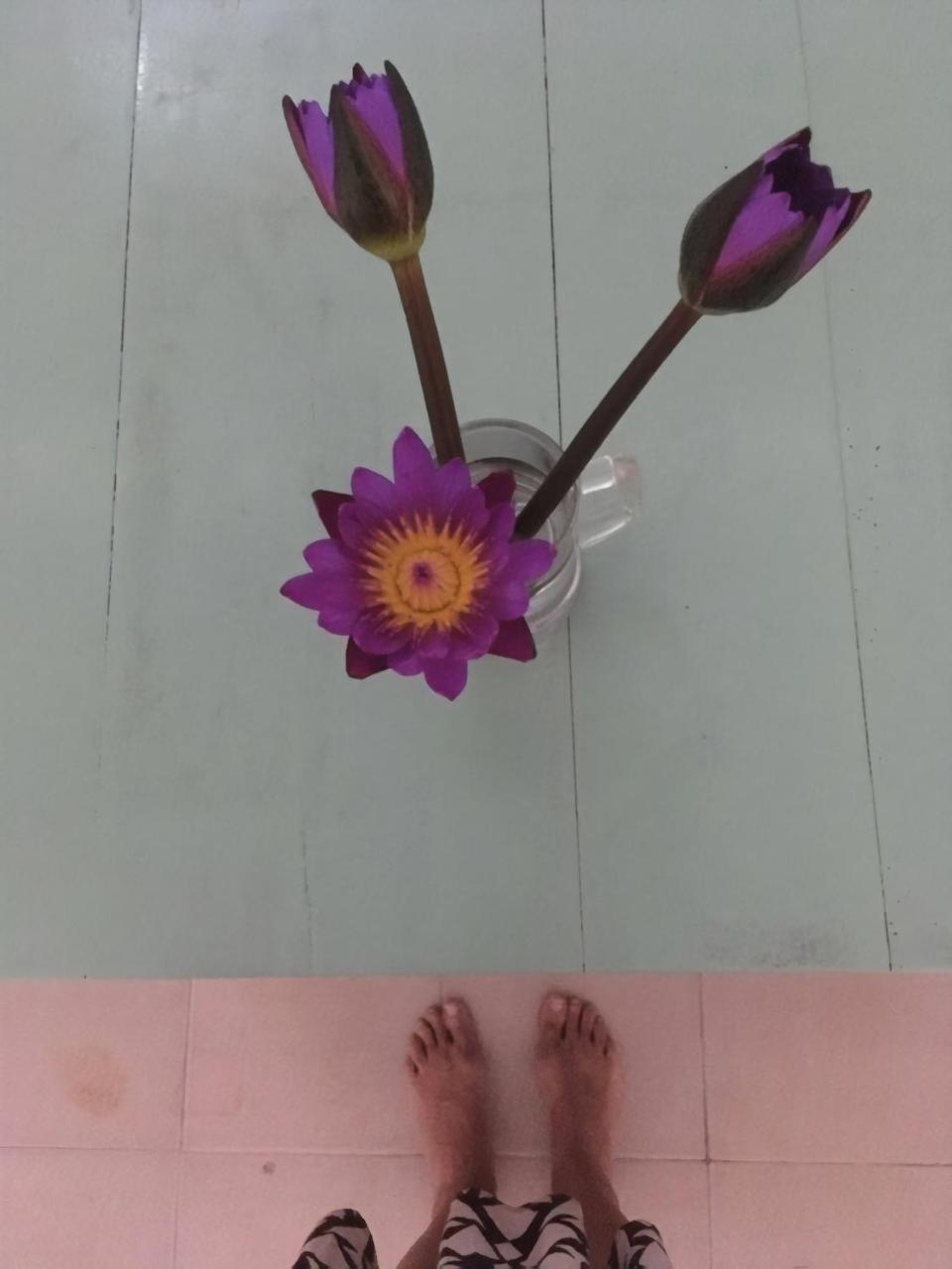 Хостел Layback Boutique Surf & Yoga Camp Sri Lanka Велігама Екстер'єр фото
